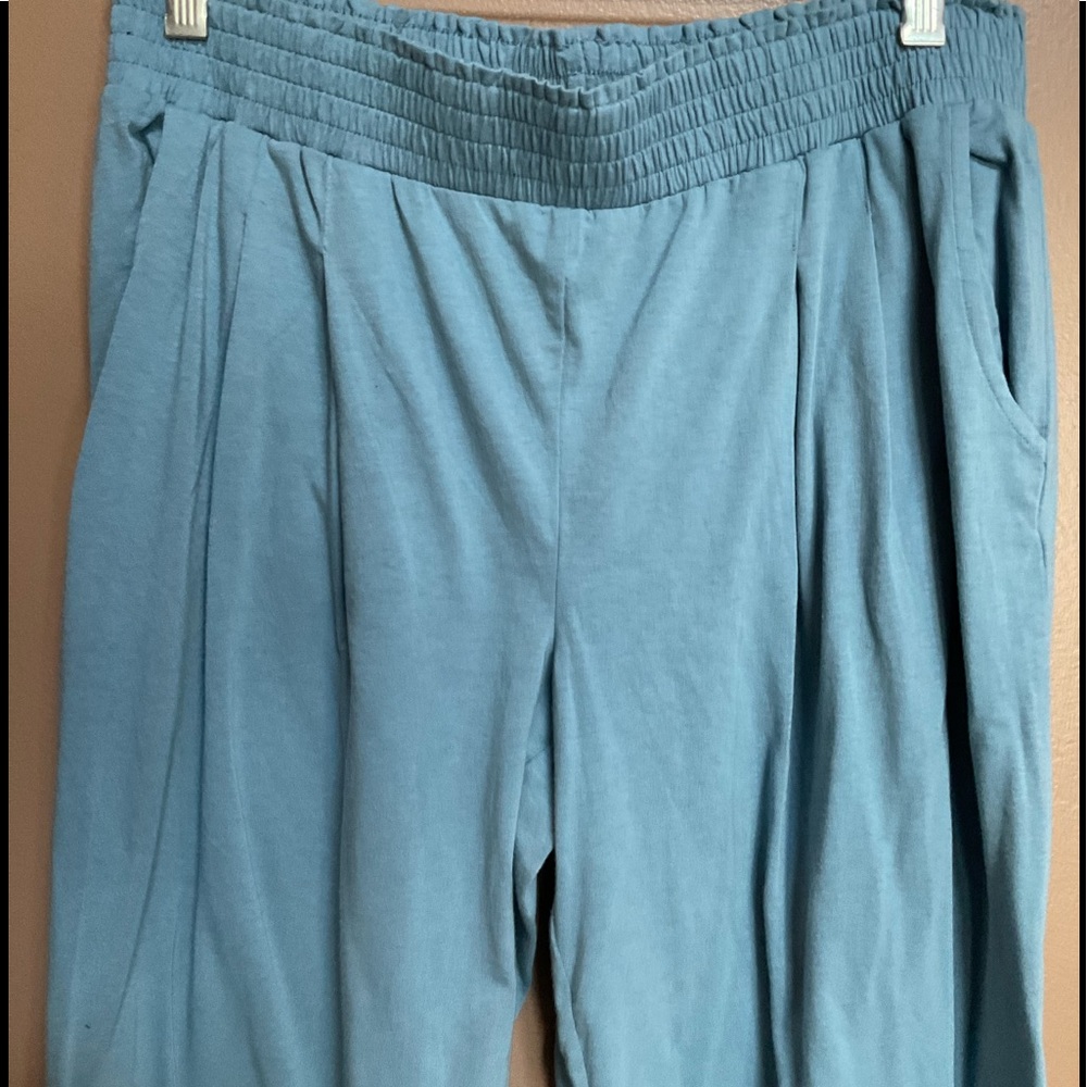 QVC Any Body Small light blue  pant elastic waist
